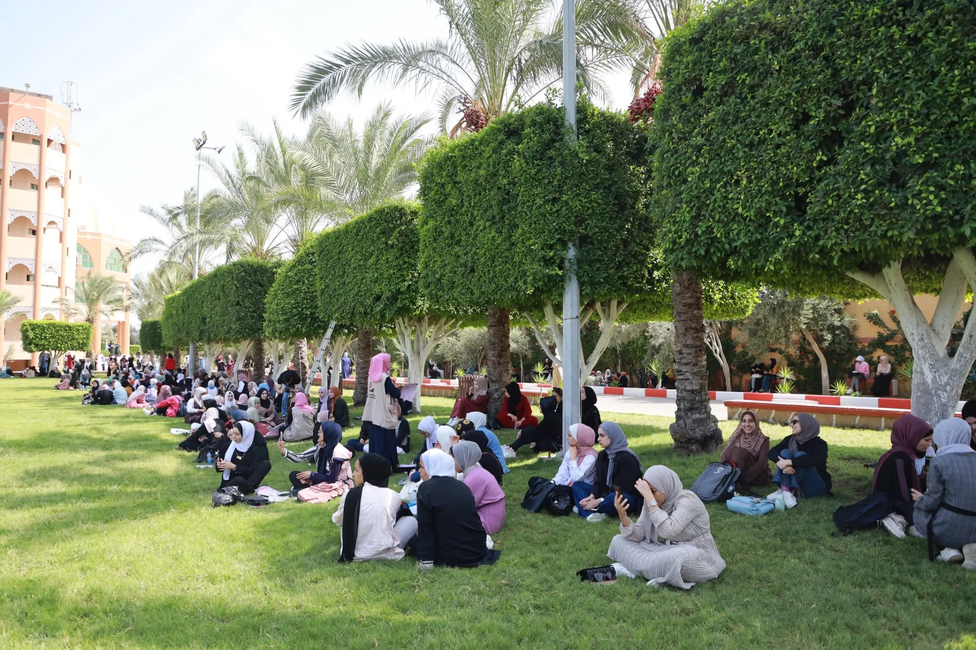 مساحات خضراء تنبض بالحياة الطلابية